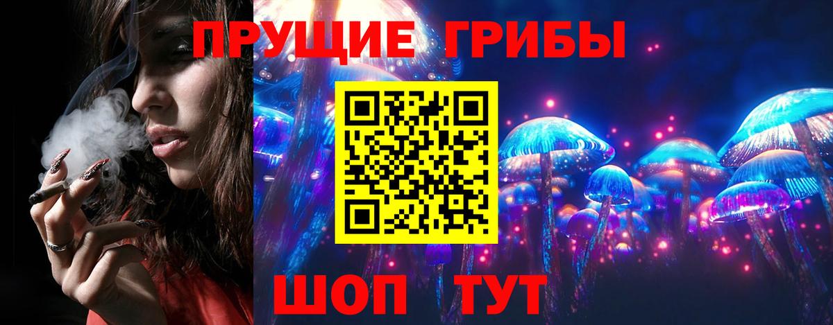 Ессентуки  Псилоцибиновые грибы MAGIC MUSHROOMS  Вход с VPN 